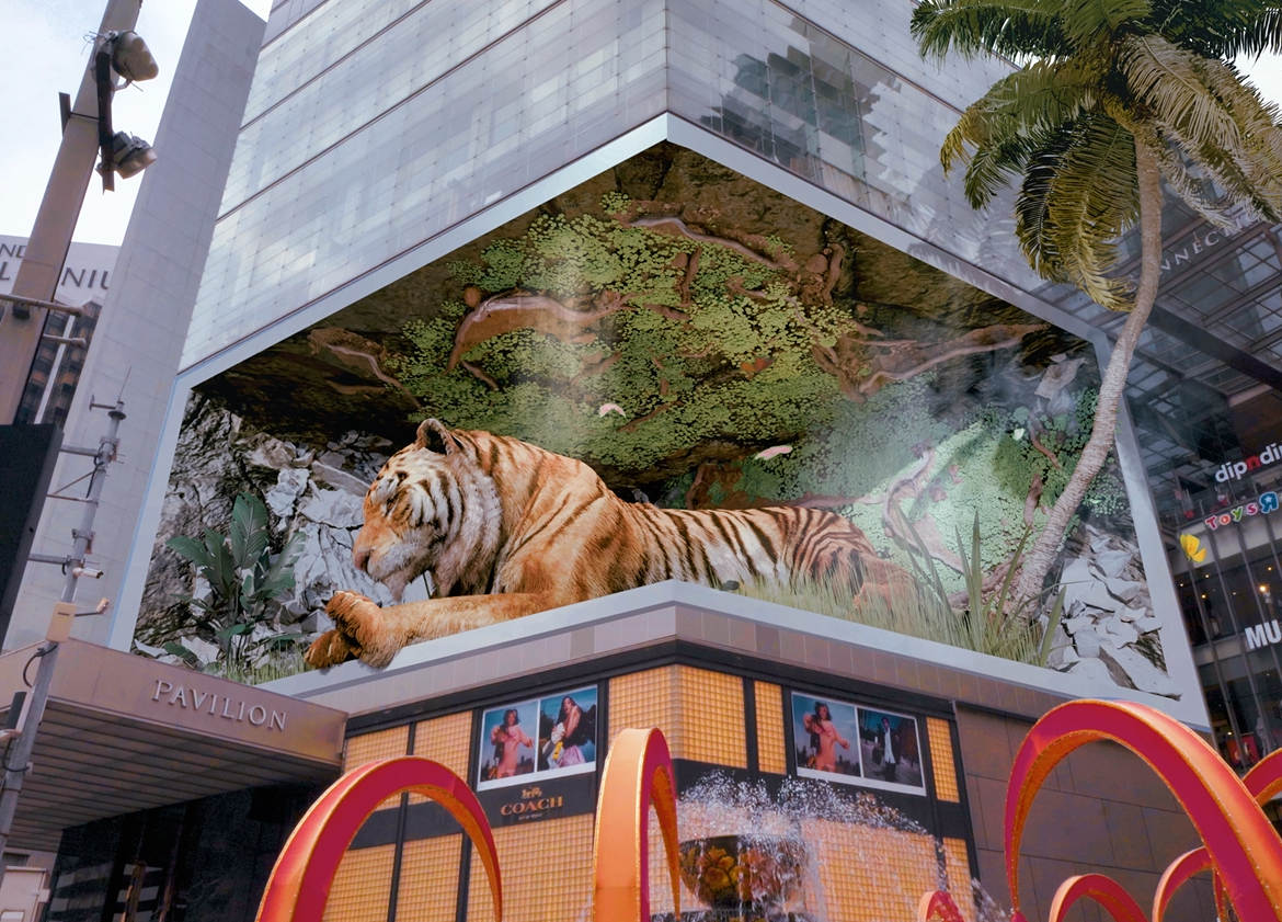 3D Anamorphic Screen